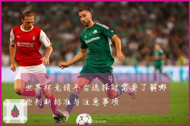 世界杯竞猜平台选择时需要了解哪些判断标准与注意事项