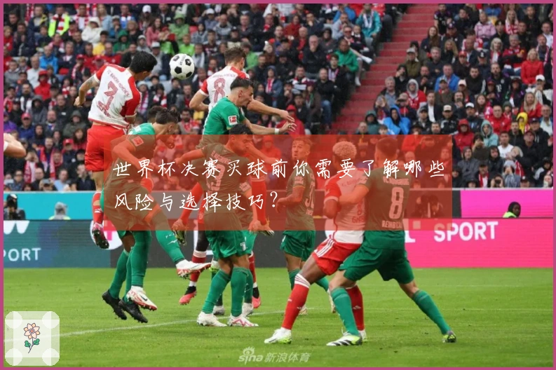 世界杯决赛买球前你需要了解哪些风险与选择技巧？