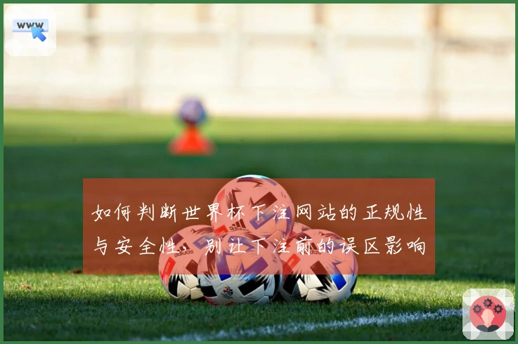如何判断世界杯下注网站的正规性与安全性，别让下注前的误区影响你的选择