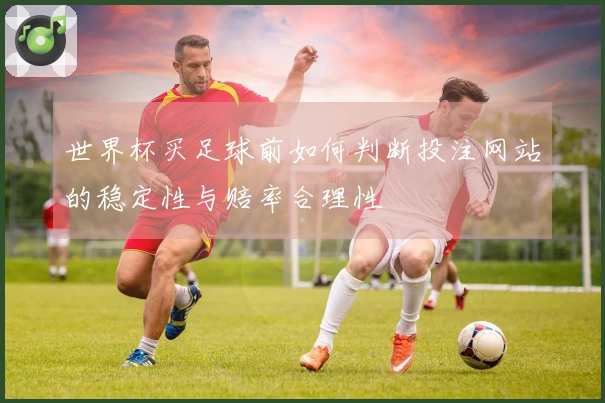 世界杯买足球前如何判断投注网站的稳定性与赔率合理性
