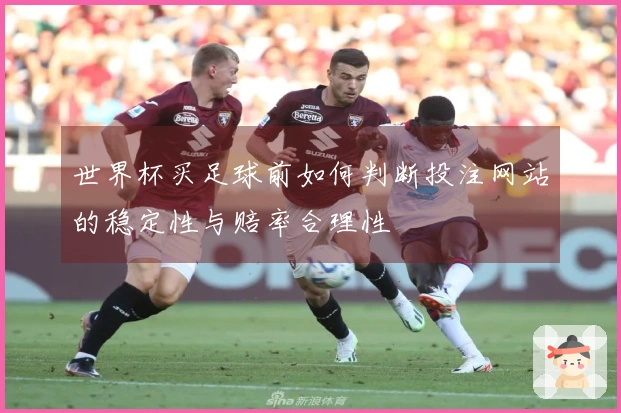 世界杯买足球前如何判断投注网站的稳定性与赔率合理性